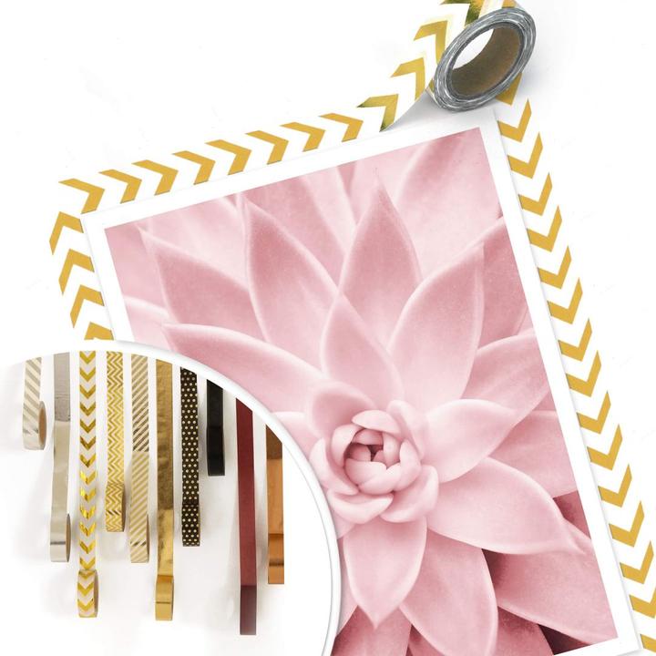 Produktbild Trenddeko Rosa Sukkulente (30 x 40 cm)