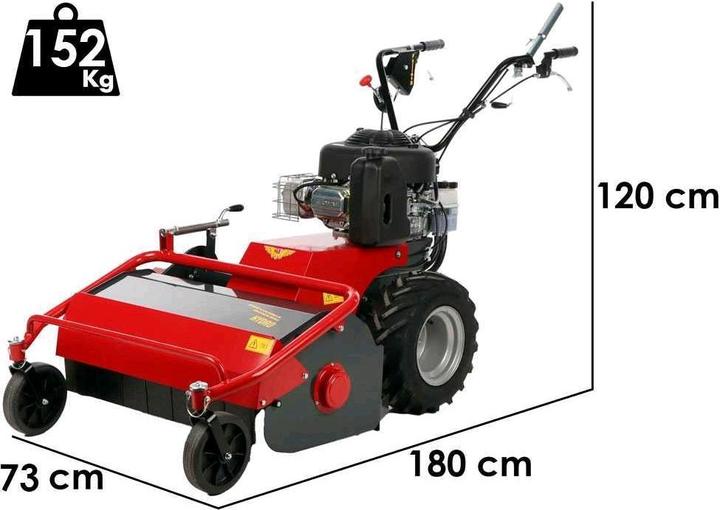 Benassi TR 600 Hydro Rasaerba professionale a martelli B e S 3105E (Benzina)