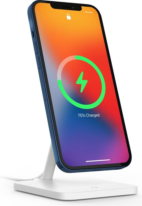 Image du produit TwelveSouth Forté (15 W)