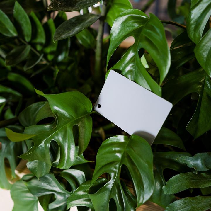 Actual product image Caruba Digital grey card DGC 1 (Flash diffuser)