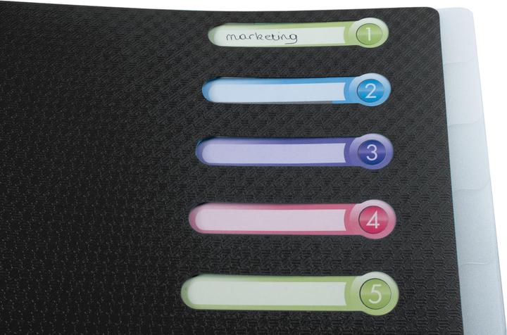 Actual product image Exacompta PP file folders (A4, 1 x)