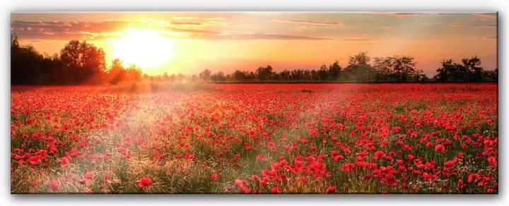 Produktbild Trenddeko Mohnfeld im Sonnenuntergang - Panorama (120 x 50 cm)