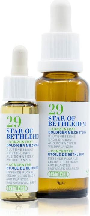Produktbild Phytomed Bachblüten No29 Doldiger Milchstern (1 Stück, Flüssigkeit, 22 g)