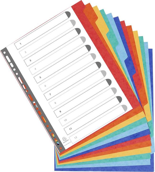 Image du produit Exacompta Intercalaires vierges - carton