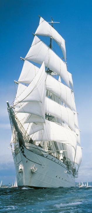 Komar Bateau à voile (86 x 220 cm)
