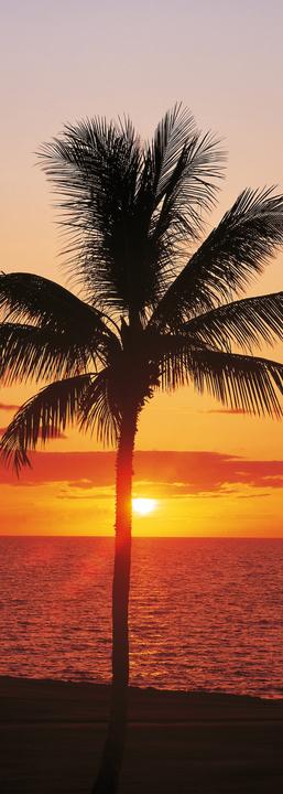 Actual product image Komar Panel Hawaii (100 x 280 cm)