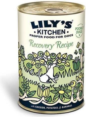 Actual product image Lily's Kitchen Recovery Recipe (Adult, 1 pcs., 2760 g)