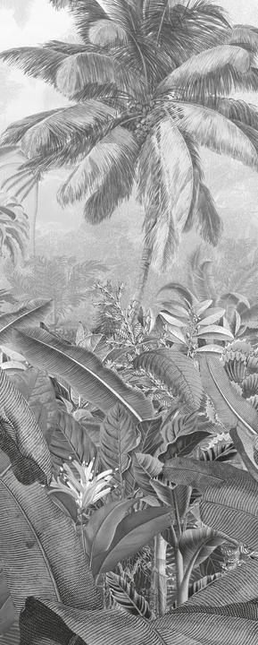 Komar Amazonia Black & White (100 x 250 cm)