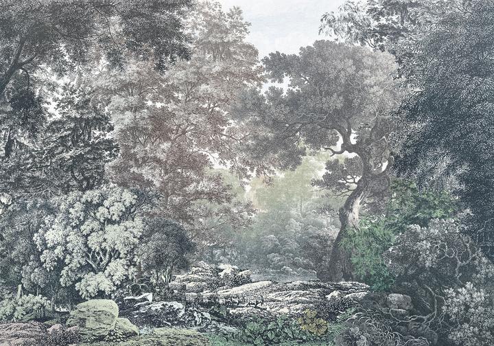 Actual product image Komar Fairytale Forest (400 x 280 cm)