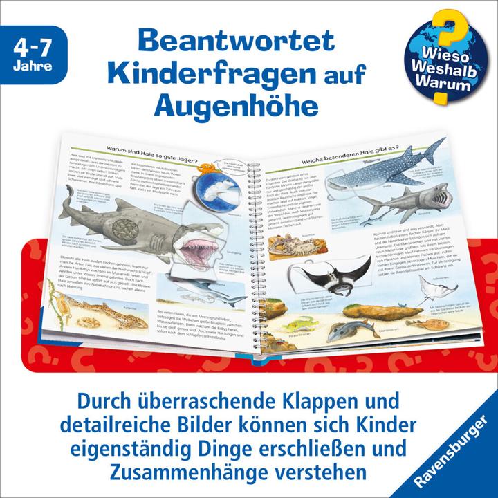 Actual product image Ravensburger Wir entdecken Meerestiere (German, Andrea Erne, 2015)