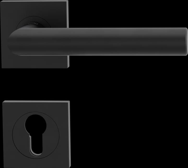 Immagine prodotto Griffwerk Guarnizione di maniglie per porta LUCIA PROFESSIONAL QUATTRO (Maniglia della porta)