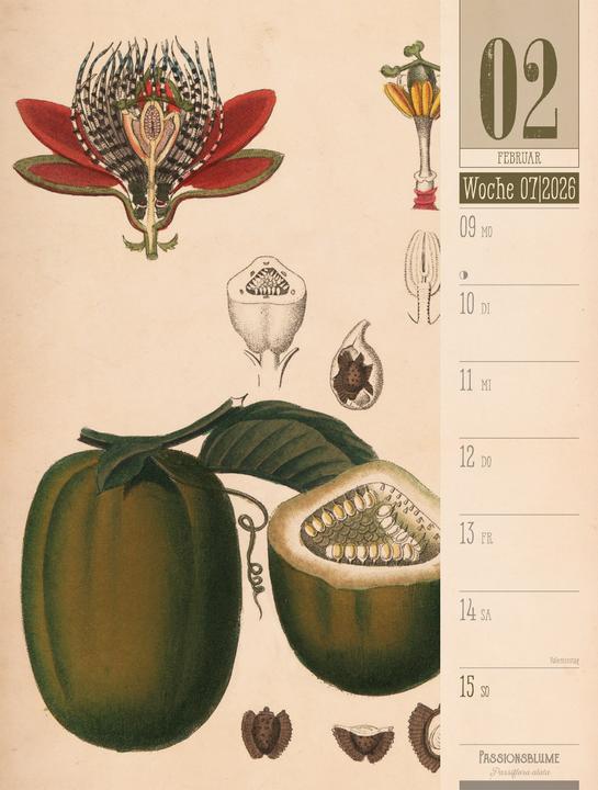 Immagine prodotto Culinarium - Küche, Kräuter, Kurioses - Vintage Wochenplaner Kalender 2026 (25 x 33 cm, Copertina rigida, Tedesco)
