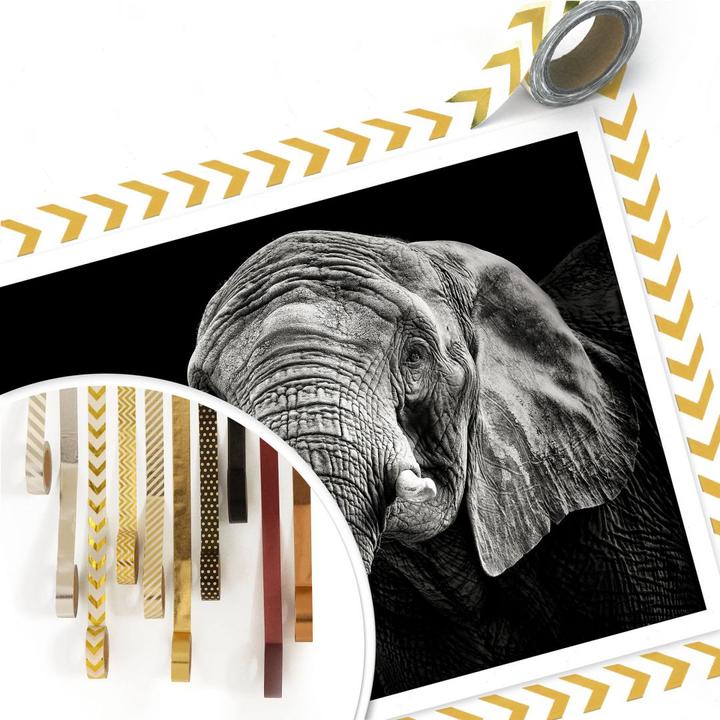 Image du produit Trenddeko L'éléphant (50 x 40 cm)