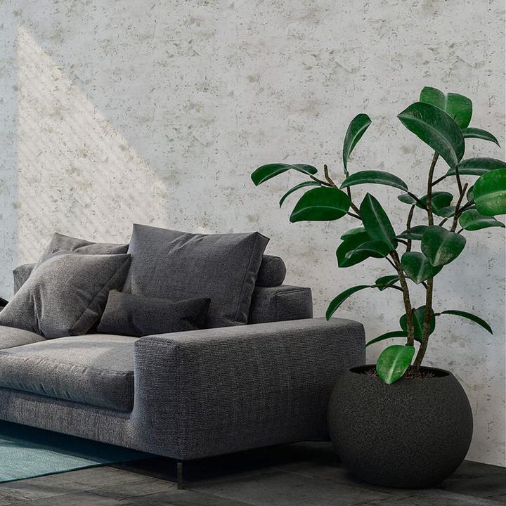 Actual product image Livingwalls New Walls Loft Living in Vintage Concrete Look (53 x 1005 cm)