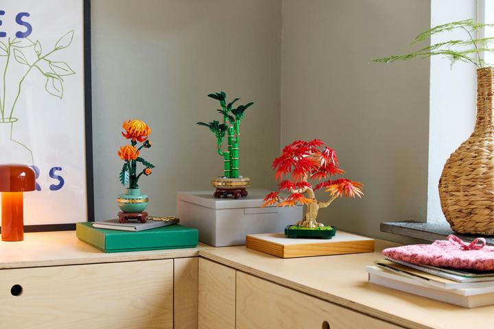 Immagine prodotto LEGO Japanischer Roter Ahorn - Bonsai-Baum (10348, LEGO Botanical)