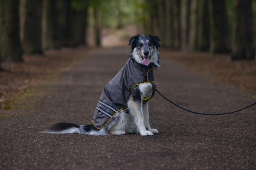 Immagine prodotto Beeztees Seja (52, Cappotto impermeabile per cani)