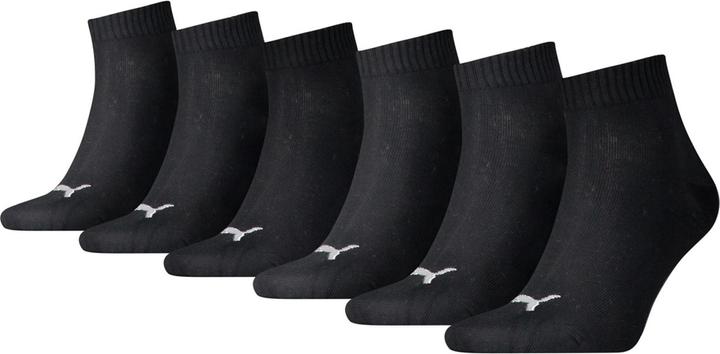 Puma Quarter