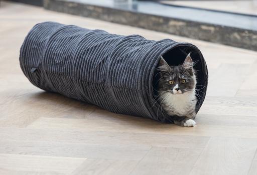 Actual product image Designed by Lotte Ribbed cat tunnel (Cat tunnel)