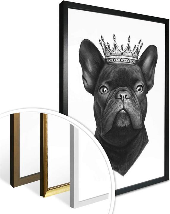 Image du produit Trenddeko Le roi des bouledogues français (24 x 30 cm)