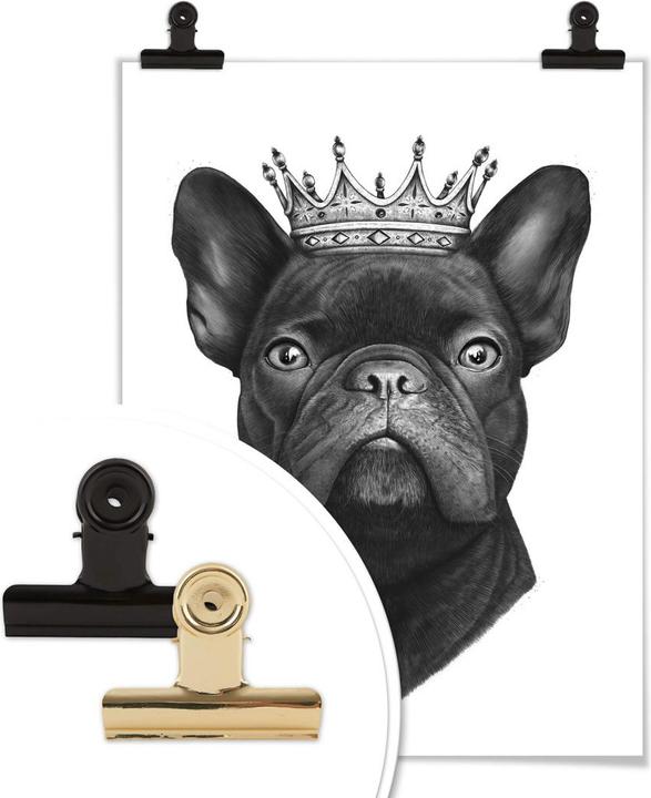 Image du produit Trenddeko Le roi des bouledogues français (24 x 30 cm)