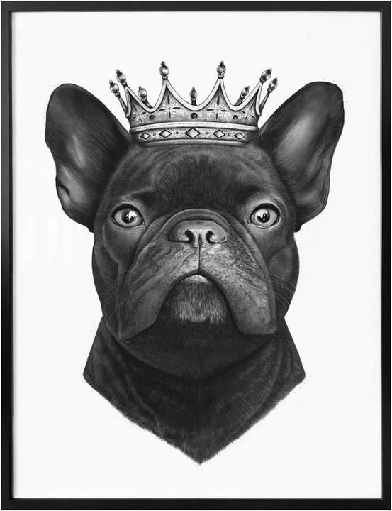Image du produit Trenddeko Le roi des bouledogues français (24 x 30 cm)