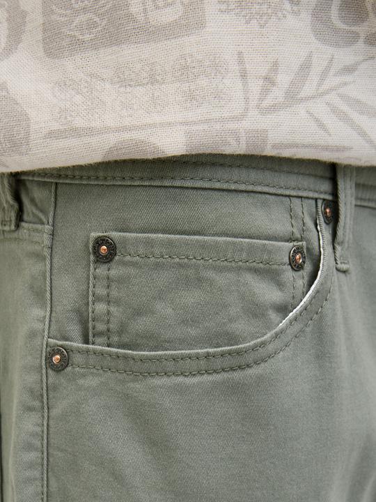Produktbild Jack & Jones Regular Fit Shorts Shorts (XS)