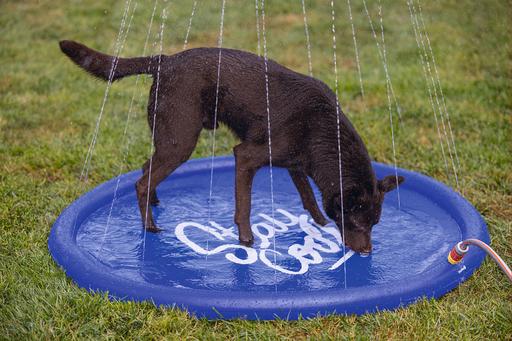 Actual product image Beeztees Bz Sprinkler Mat Stay Cool Bl (Dog pool)