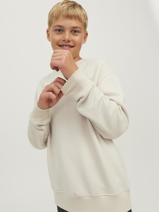 Image du produit Jack & Jones Sweat-shirt (152)
