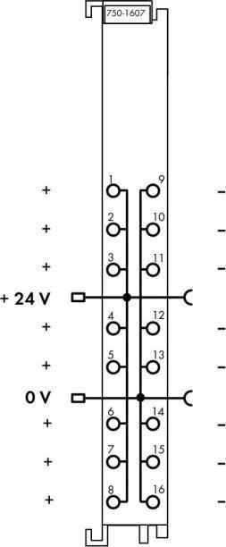 Actual product image Wago Potential multiplying cl