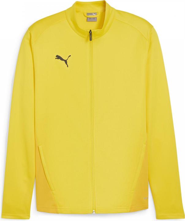 Puma teamGOAL Training Jacket
