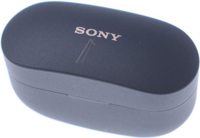 Actual product image Sony Charging Case (WF-1000XM4)