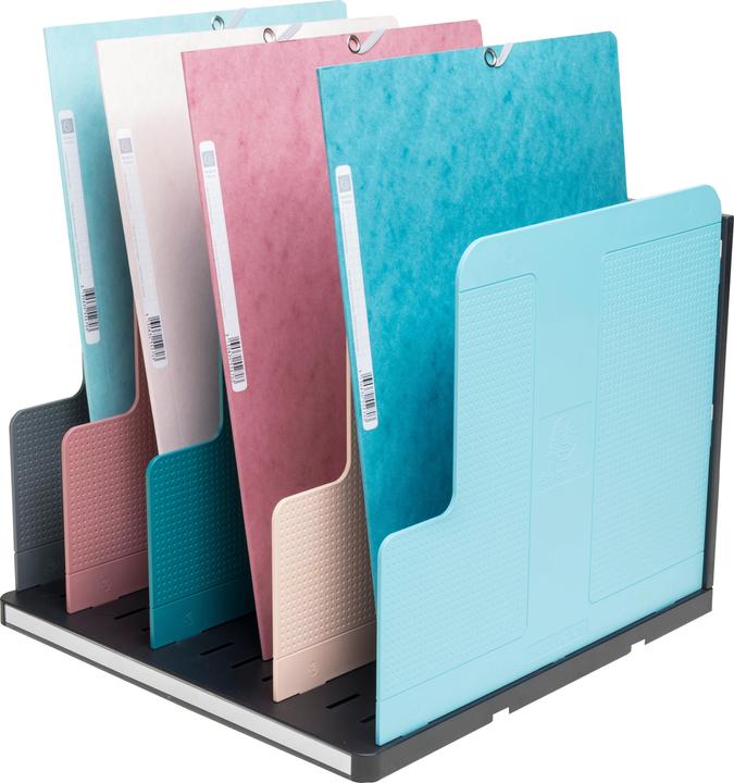 Image du produit Exacompta MODULOTOP, vertikaler Sorter mit 5 Trennplatten, Skandi (A4+)