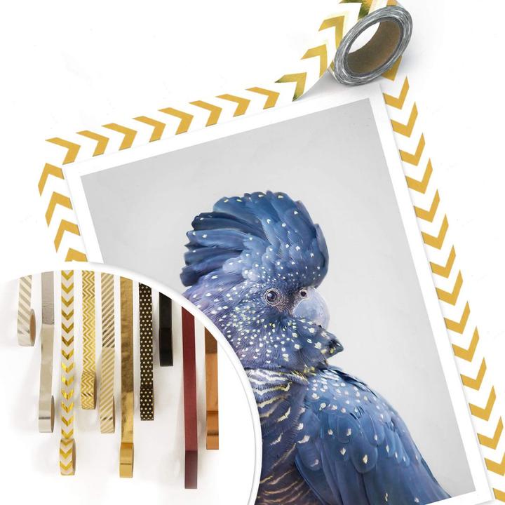 Actual product image Trenddeko Blue Cockatoo (24 x 30 cm)