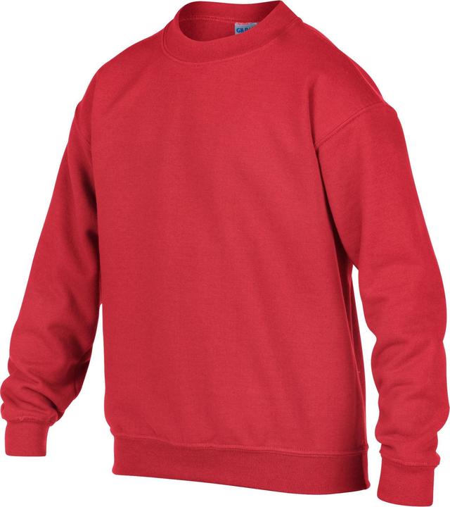 Image du produit Gildan - Sweat - Enfant (128)