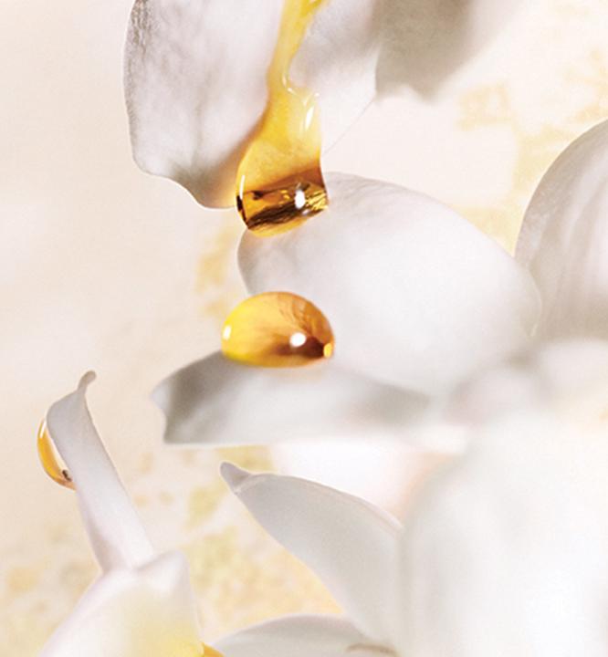 Image du produit Dior J'Adore (Eau de parfum, 150 ml)