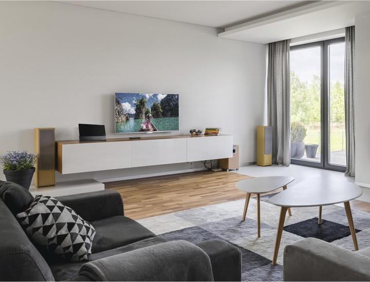 Image du produit Hama Premium (Antenne plate, 55 dB, DVB-T / -T2)