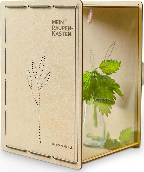 Actual product image Mein Raupenkasten Insect hotel caterpillar box (Butterflies)