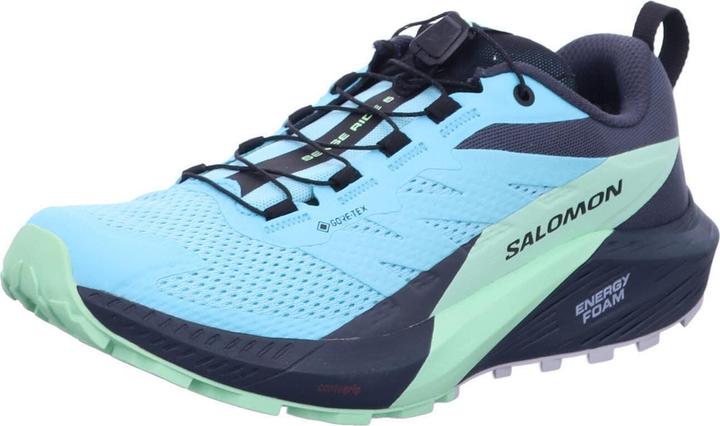 Immagine prodotto Salomon Sense Ride 5 GTX W 472160 40 2/3 (41)