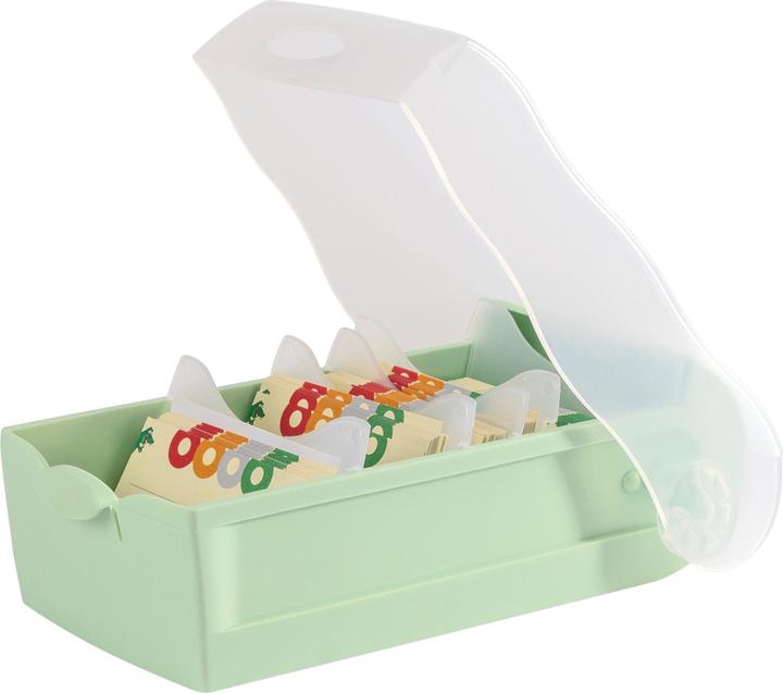 Han Karteibox CROCO DIN A7 quer, Lernkartei mit 100 Karten, transluzent-pastellgrün (A7)
