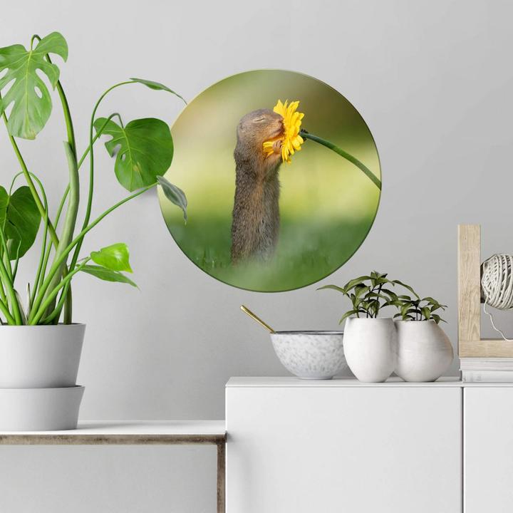 Produktbild Trenddeko van Duijn - Erdhörnchen riecht an Blume (Ø 70 cm)