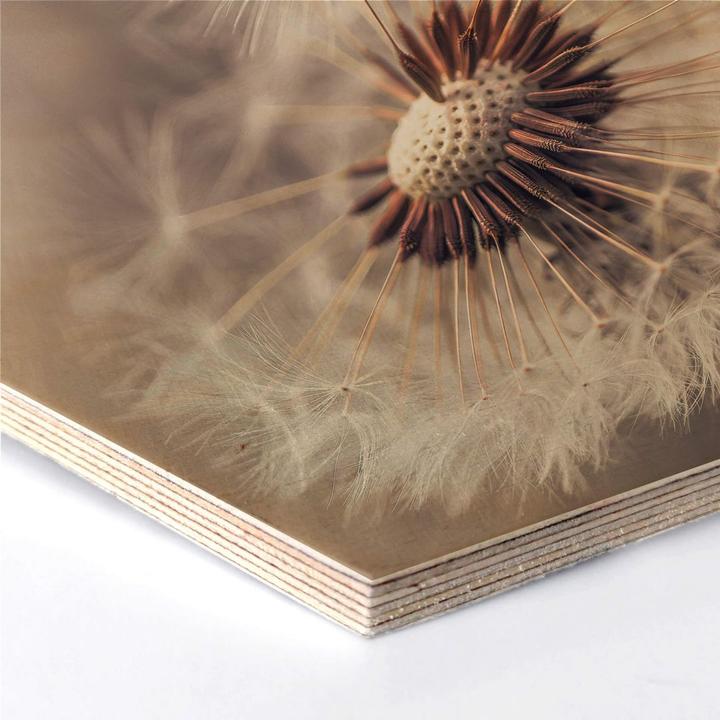 Produktbild Trenddeko Delgado - Pusteblume (35 x 30 cm)