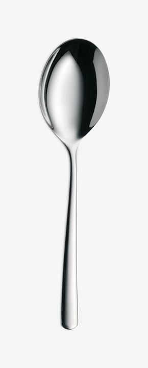 Actual product image WMF Boston (Serving spoon)