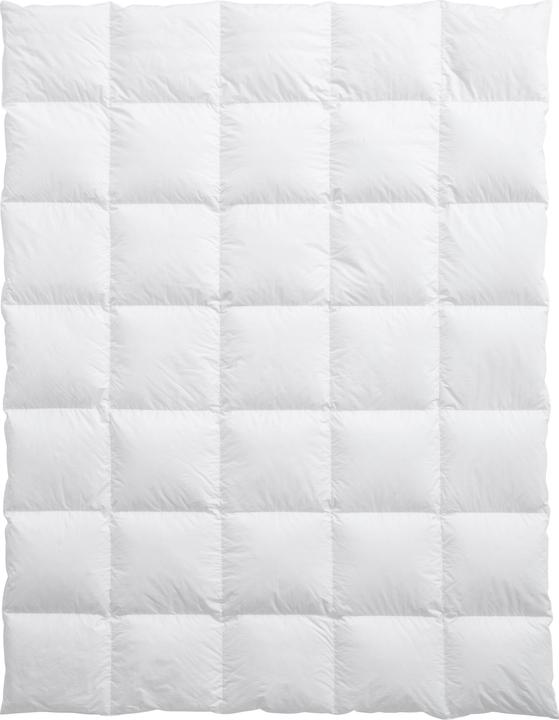 Immagine prodotto Billerbeck Luzern 90 (700 g, 160 x 210 cm)