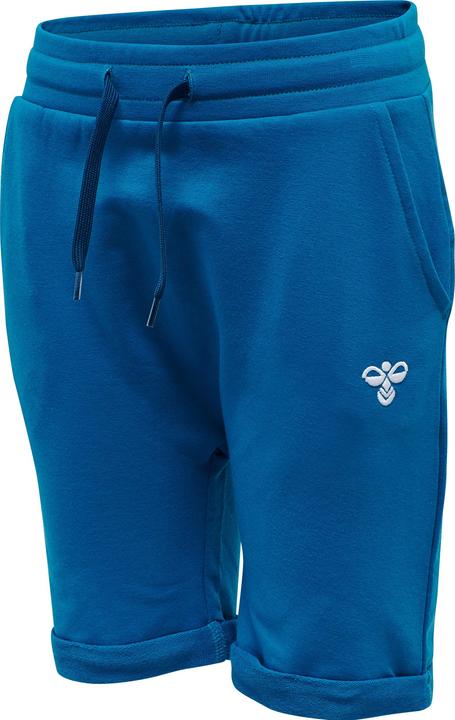 Image du produit hummel Flicker Shorts (110)