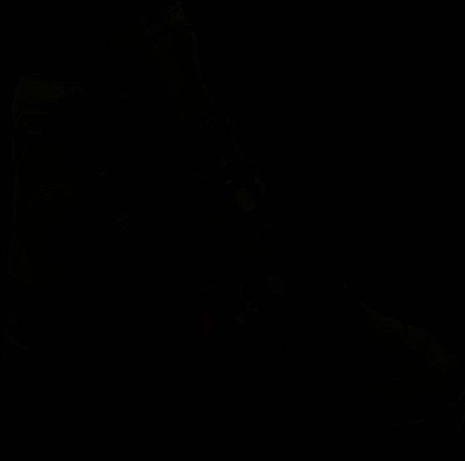 Image du produit Meindl Chaussure de montagne S3 GTX (38)