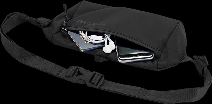 Actual product image Eagle Creek Stash Waist Bag