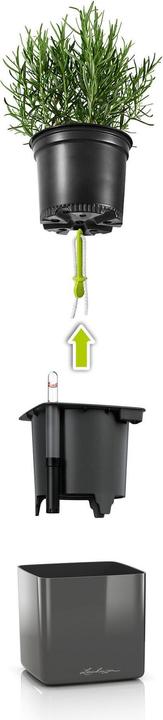 Immagine prodotto Lechuza Cubo lucido 14 (14 cm)