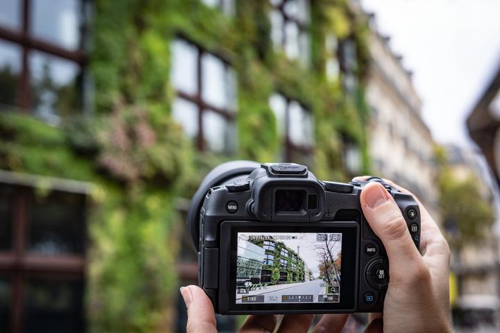 Actual product image Canon EOS R8 (EU) (24.20 Mpx, Full frame)