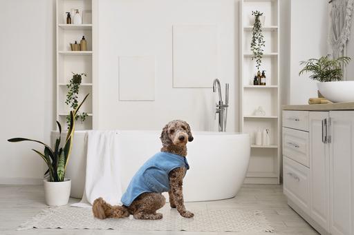 Immagine prodotto Beeztees Hundebademantel Aras (Accappatoio per cani)