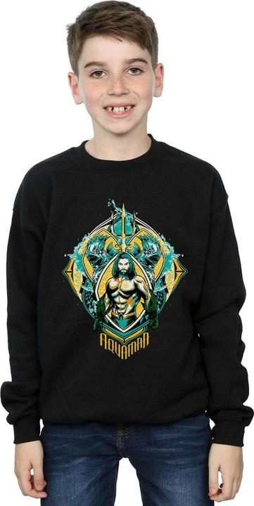 Image du produit Sweatshirt garçon Aquaman The Trench Crest (140, 146)